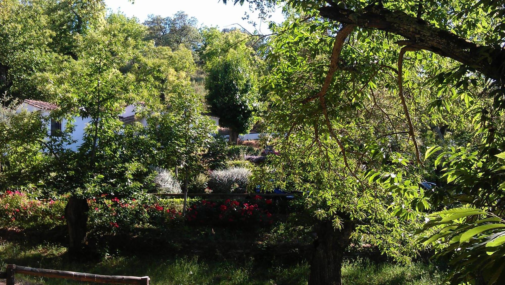Finca Valbono Apartamentos Rurales Y Hotel Aracena Extérieur photo
